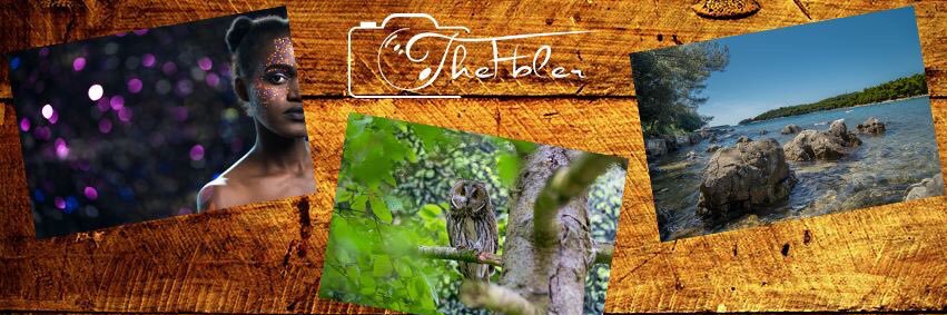 TheFbler's profile banner image