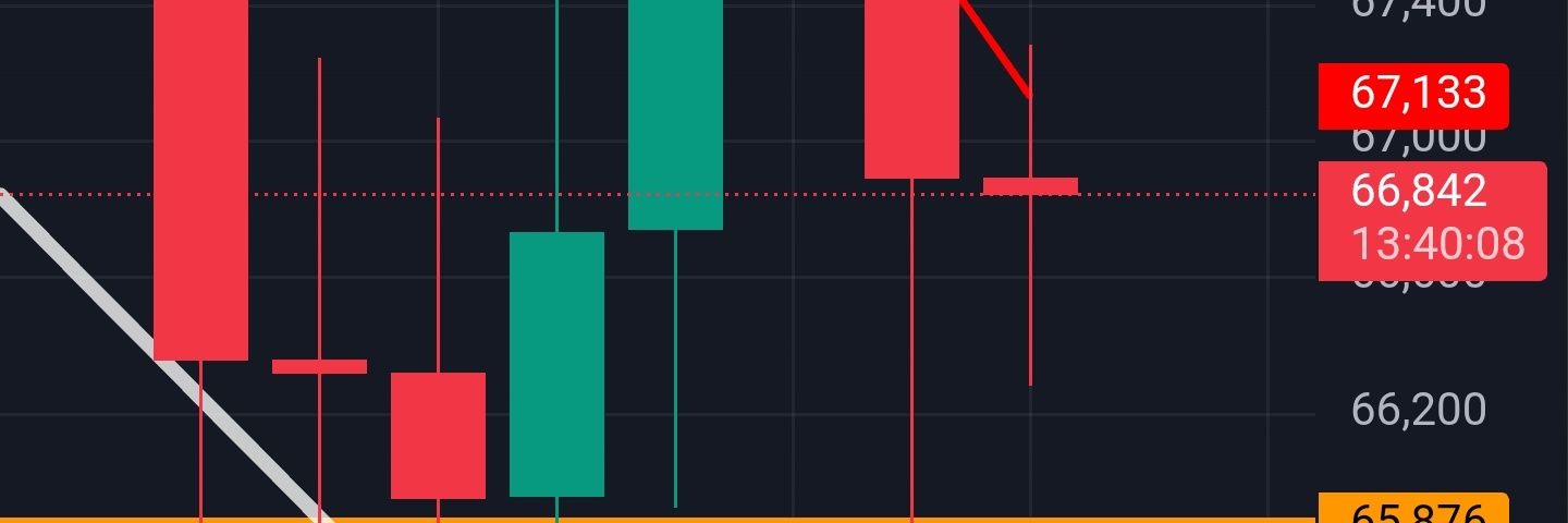 Not Financial Advice banner