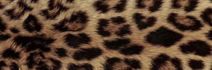 Jasane_XO's profile banner image
