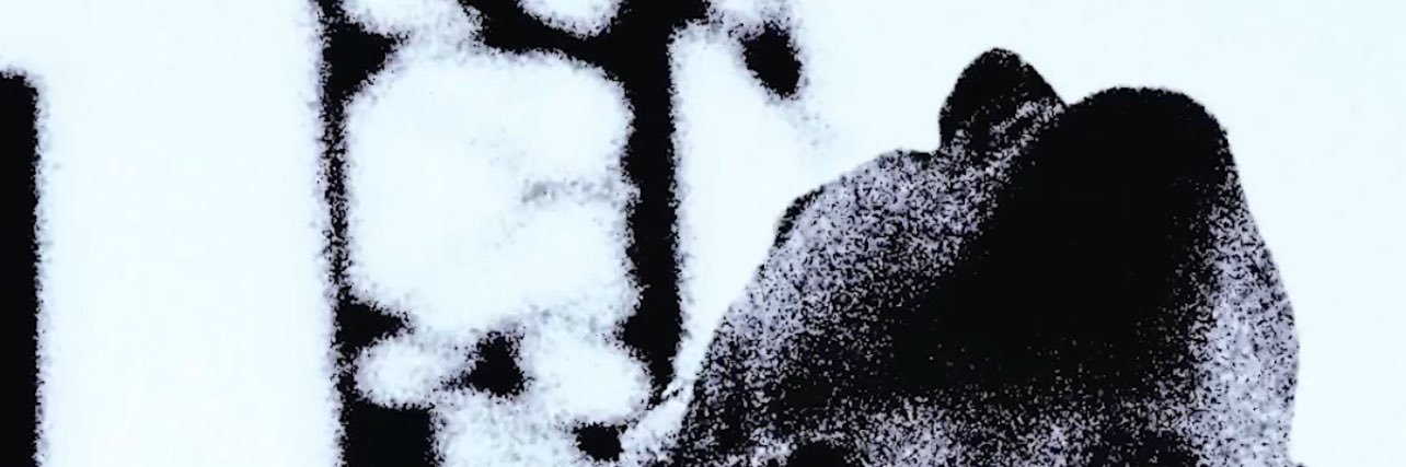 PROSECUTE's banner
