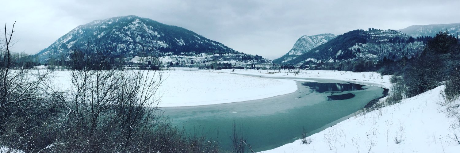 Selkirk Sentinel banner