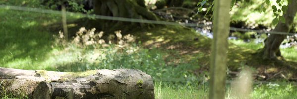 siobhxnbrennxn Profile Banner