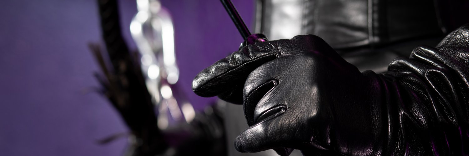 𝚂𝚝𝚎𝚟𝚎𝚗 𝚂𝚊𝚗𝚍𝚕𝚎𝚛 banner