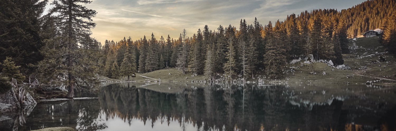 thomasbrenner's profile banner image