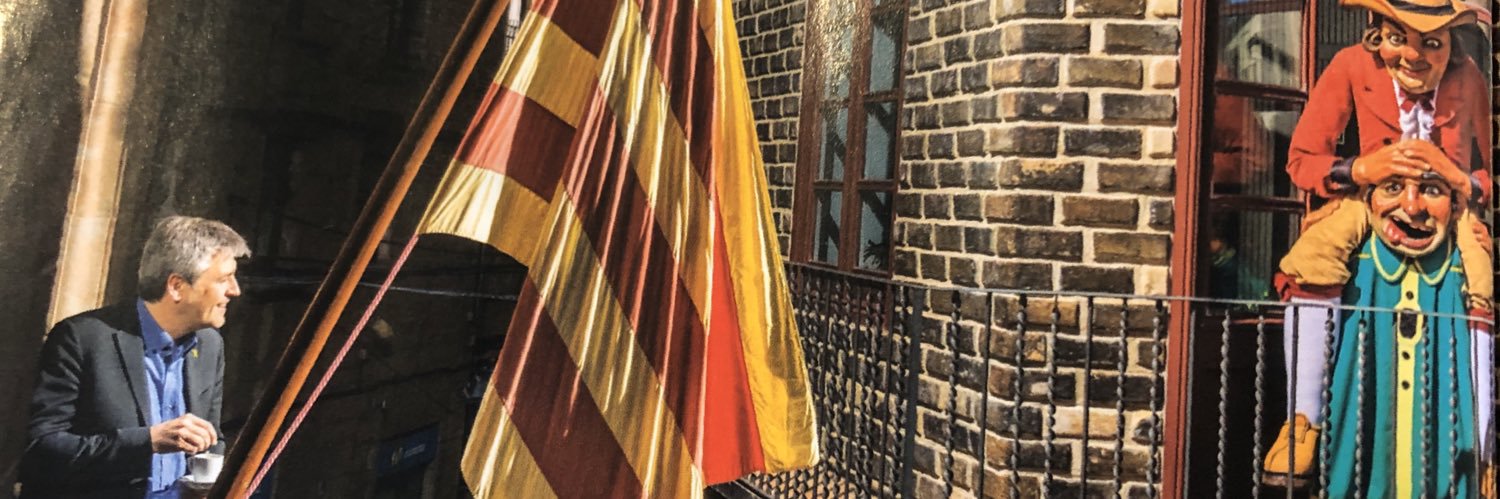 David Rodríguez 🎗 banner