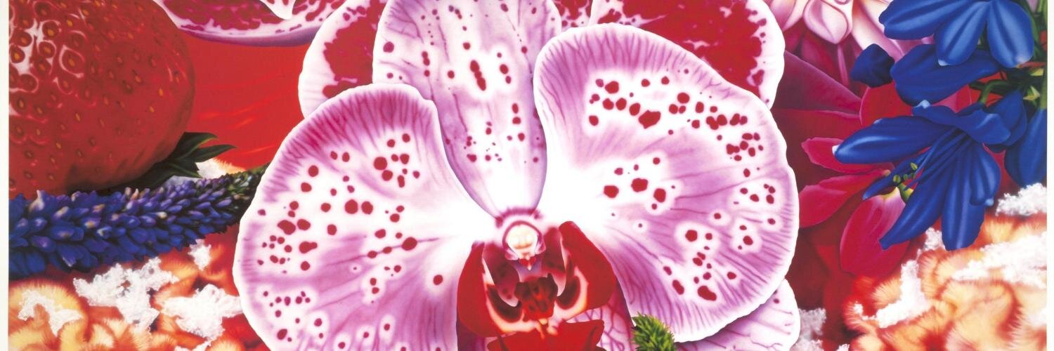 Diana Piemari Cereda banner