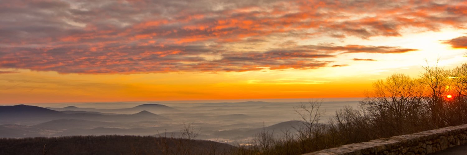 VivalaLunchbox's profile banner image