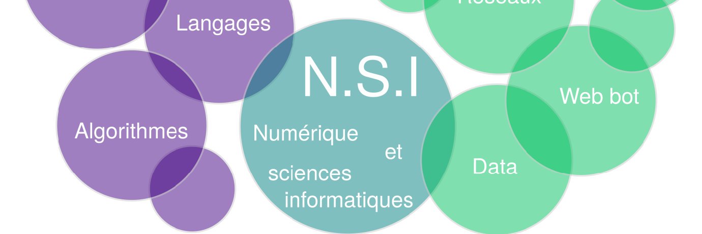 Nédélec Stéphane banner