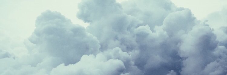 Shugarush20's profile banner image