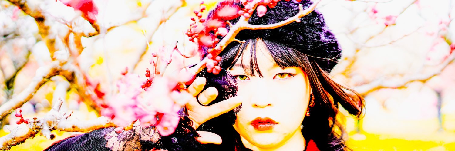 Sethgraphie's profile banner image