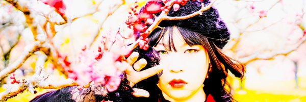 Sethgraphie Profile Banner