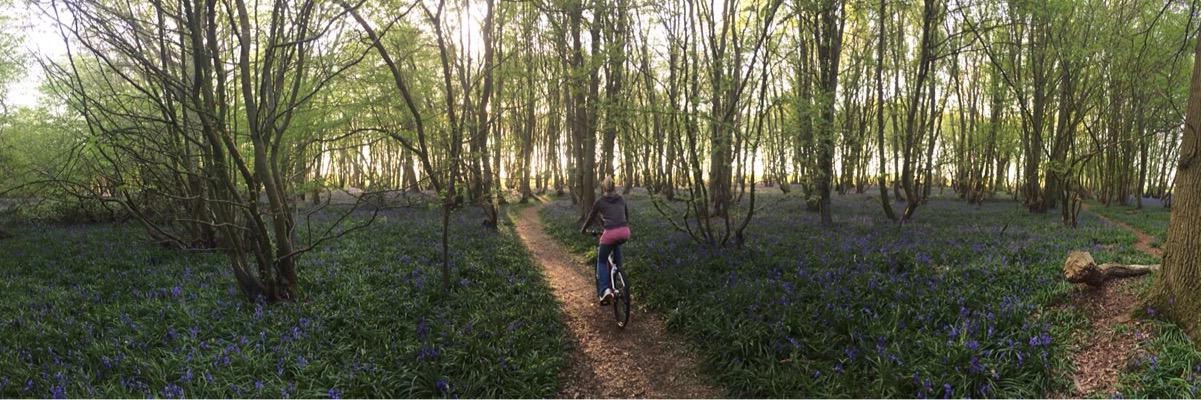 naomiphilp's profile banner image