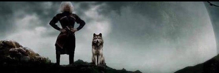 barandemiral's profile banner image