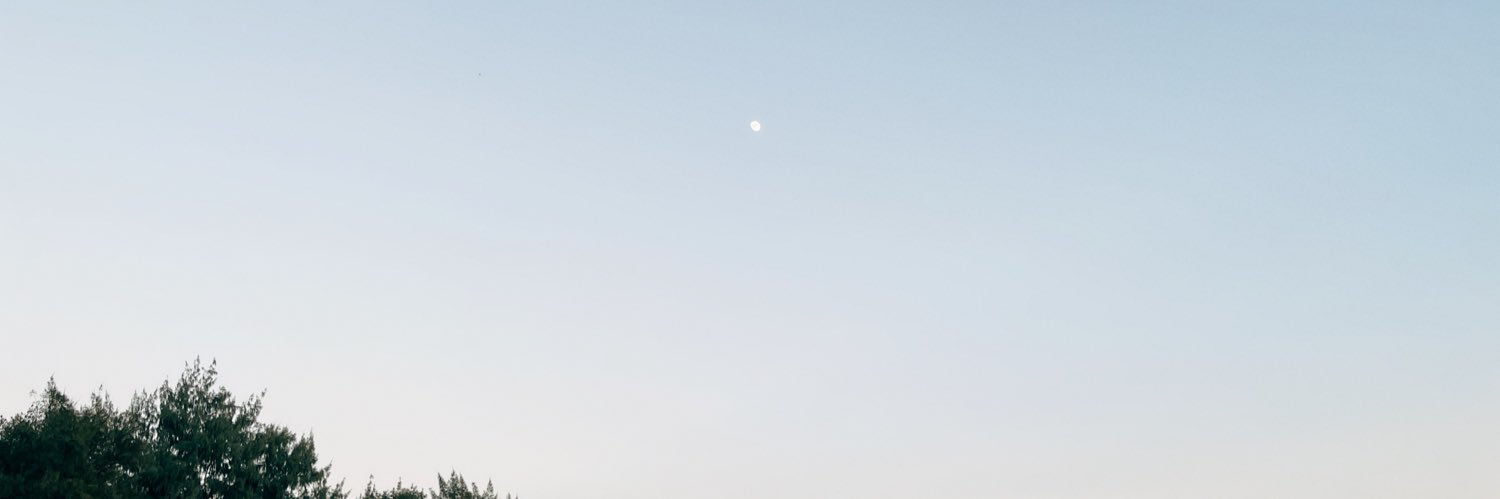 wllpy's profile banner image
