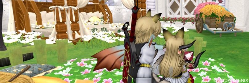 Black22c's profile banner image
