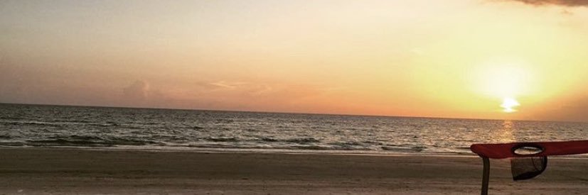 Cheyanne Vlismas banner