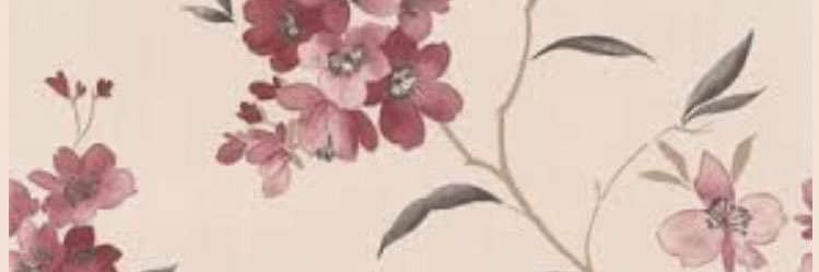 Houult's profile banner image