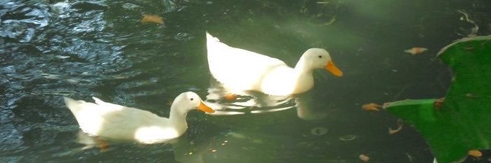 jovanartby's profile banner image