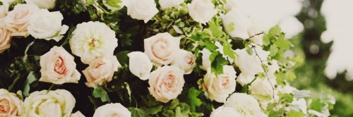 phuckmorley's profile banner image