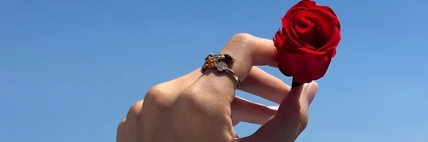 FlorDeCake's profile banner image