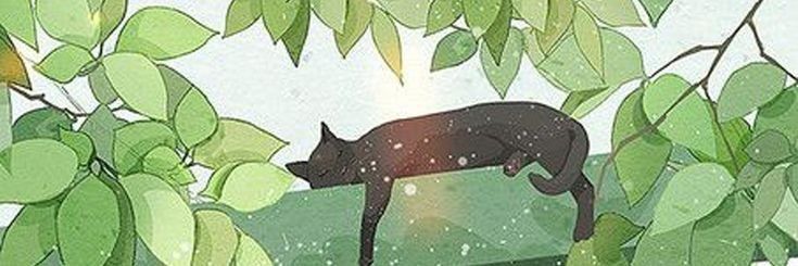 drkwinterr's profile banner image