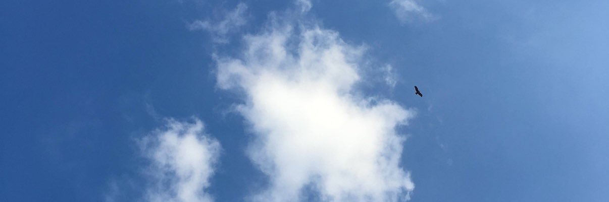 Matthew Chang banner