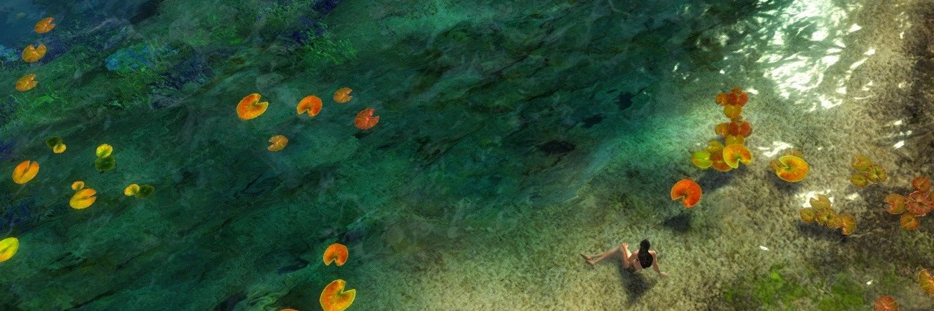 windygrey's profile banner image