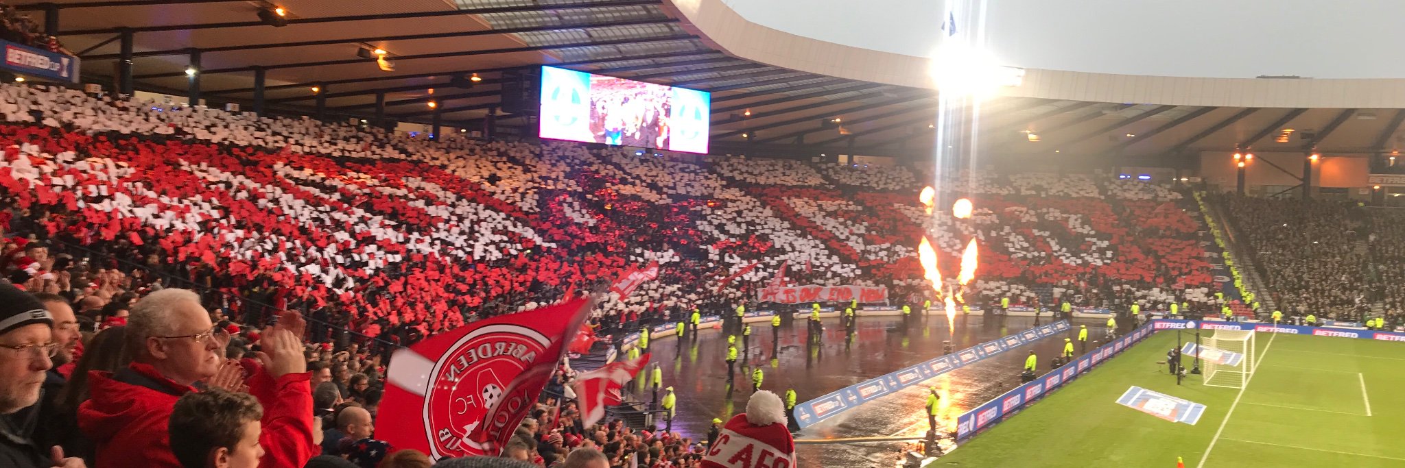 martin young banner