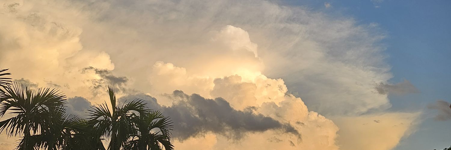 Vie Oneiro banner