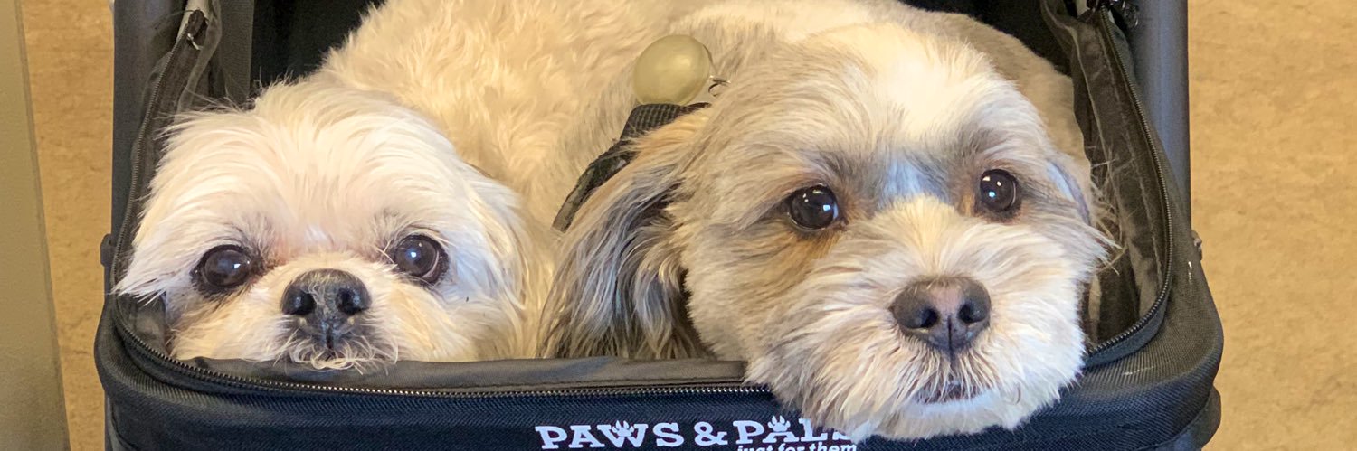 beeezybren's profile banner image
