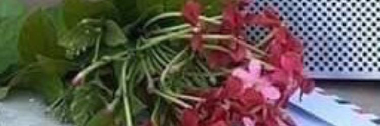 OOO123OO's profile banner image