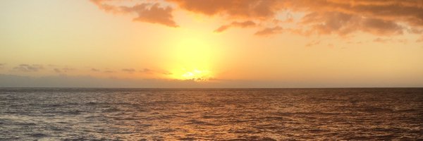 agathecombes Profile Banner