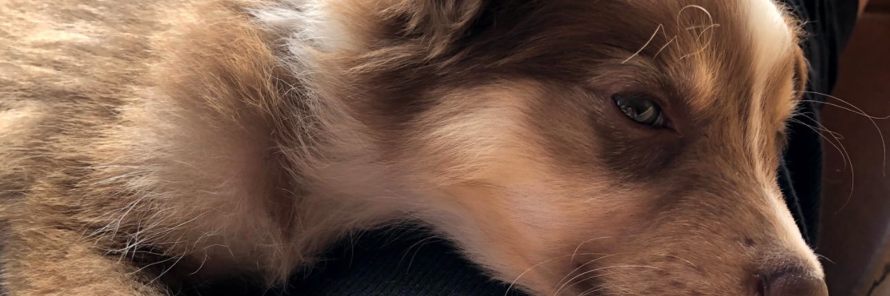 sickeiraa's profile banner image