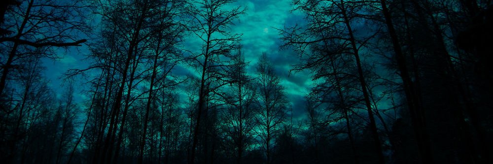 Rustor_lvs's profile banner image