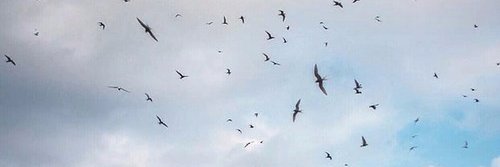 _Assoume's profile banner image