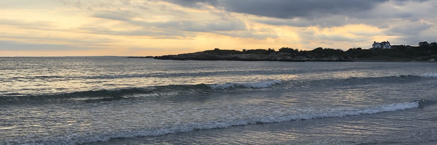 hannahcedrone's profile banner image