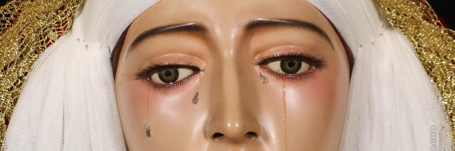 Hermandad Padre Pío banner