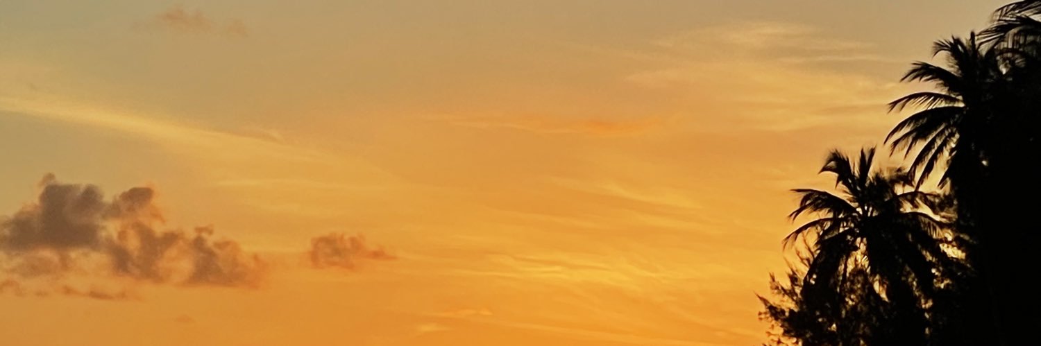lerar___'s profile banner image