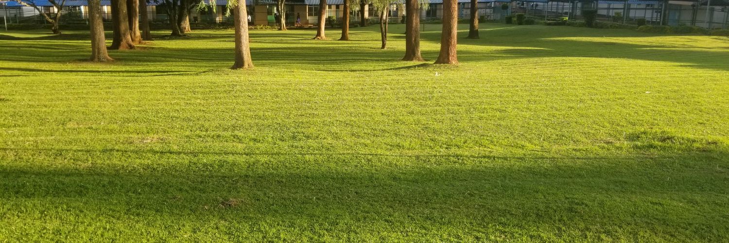 thee_dweezy's profile banner image