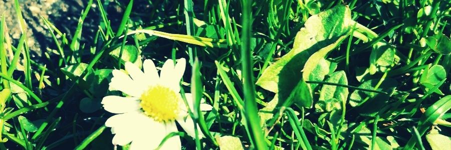 ThatsTheMimi's profile banner image