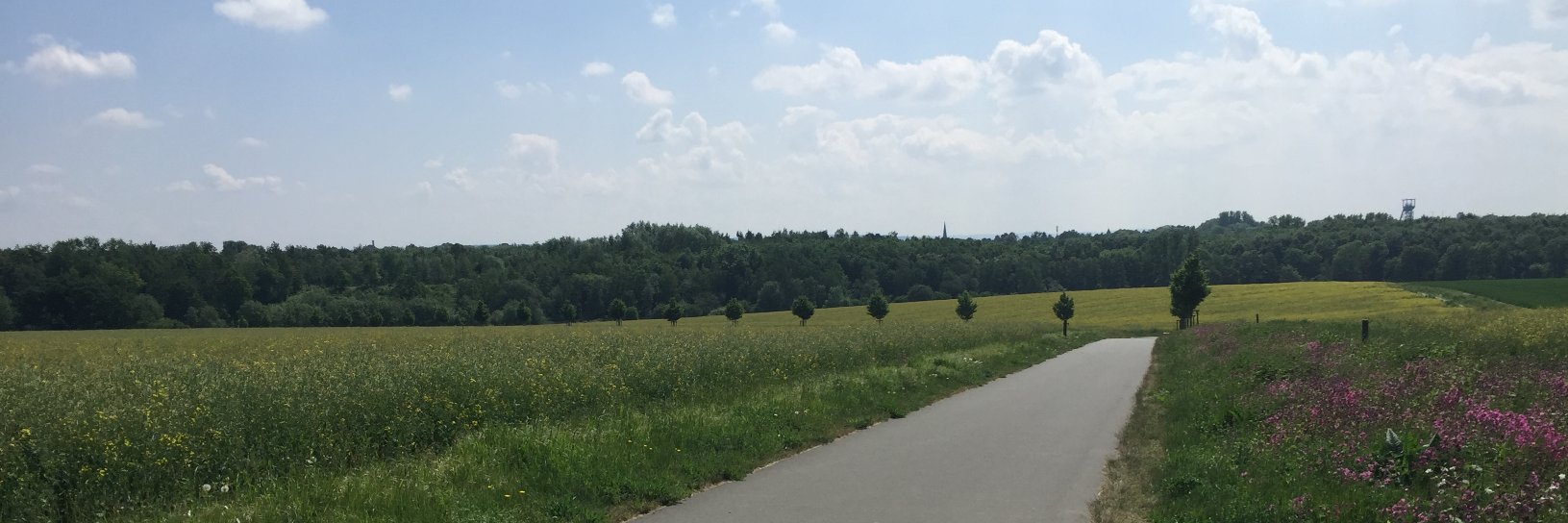 kampfbiker's profile banner image