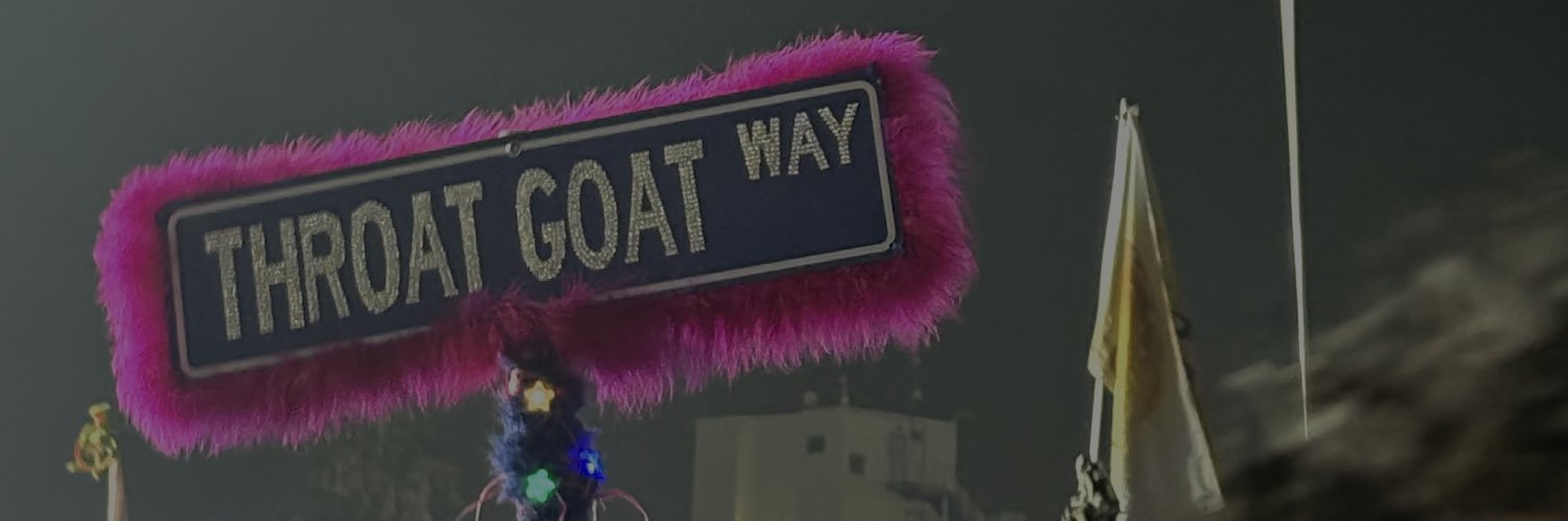 lizzyvldv's profile banner image