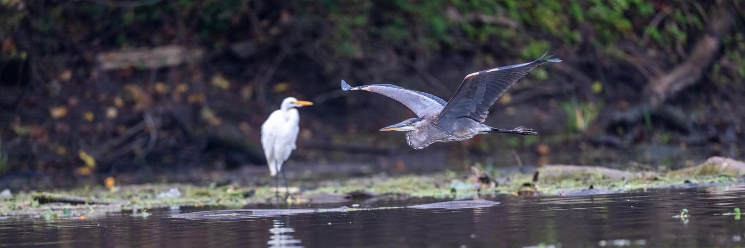 Shawn Bushway banner