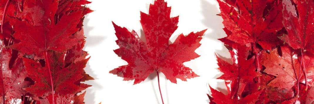 Luke Macfarlane banner