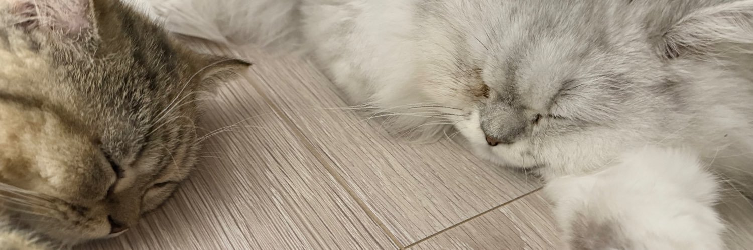 しお(そるてぃ)\(◡̈)/ banner