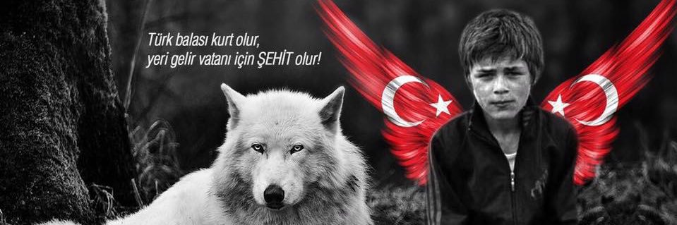 screamefe's profile banner image