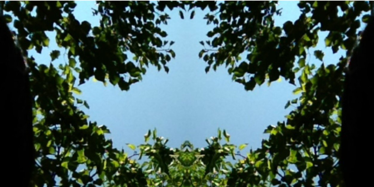 elifmtk's profile banner image