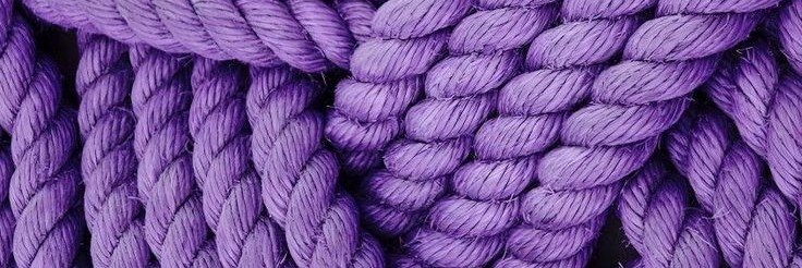 zodoplanet's profile banner image