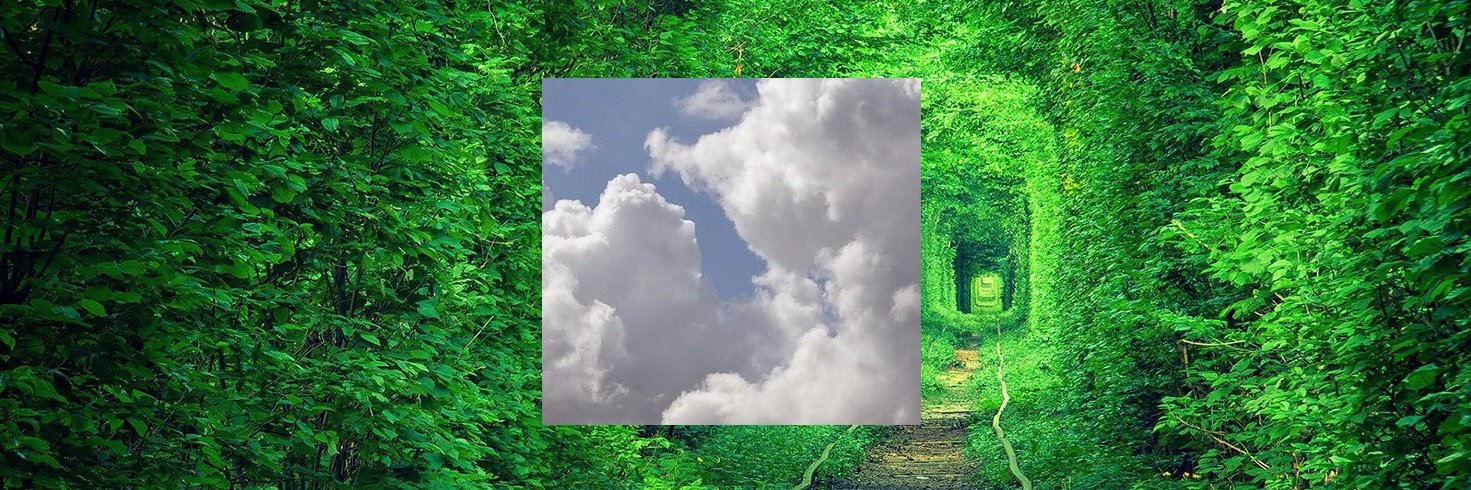 dpaulafernandes's profile banner image