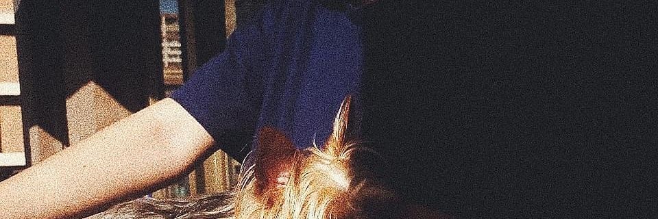 franjavieraMs's profile banner image
